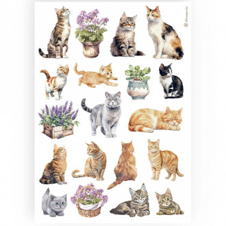 papel-de-arroz-lavender-stamperia-gatitos-a4