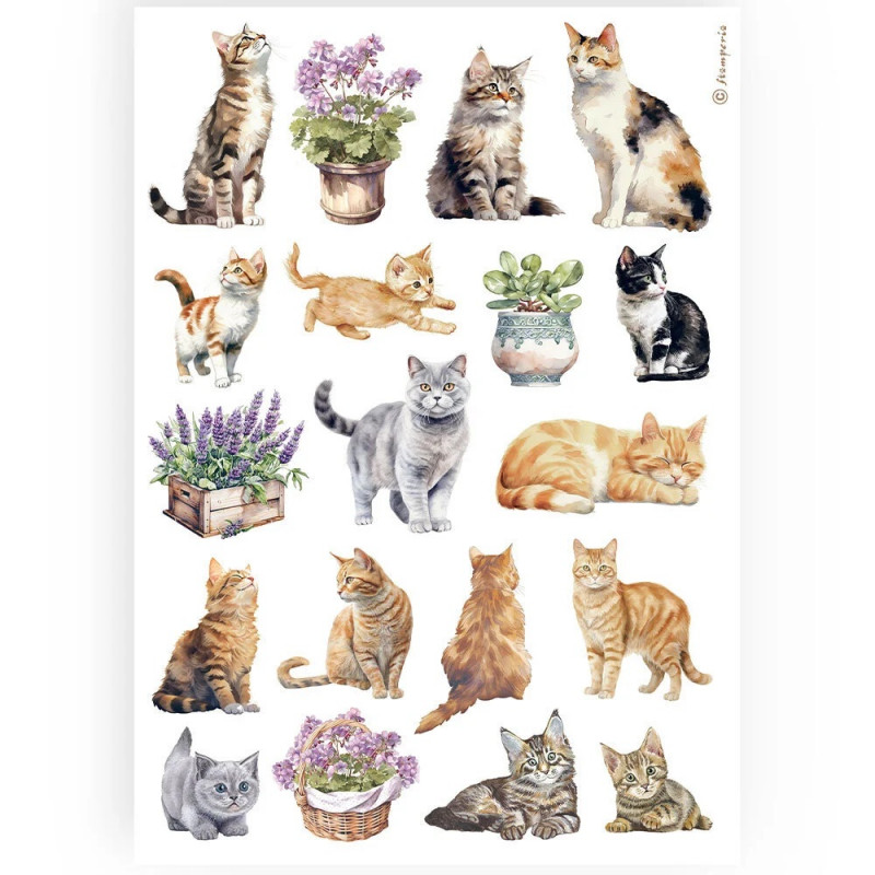 papel-de-arroz-lavender-stamperia-gatitos-a4